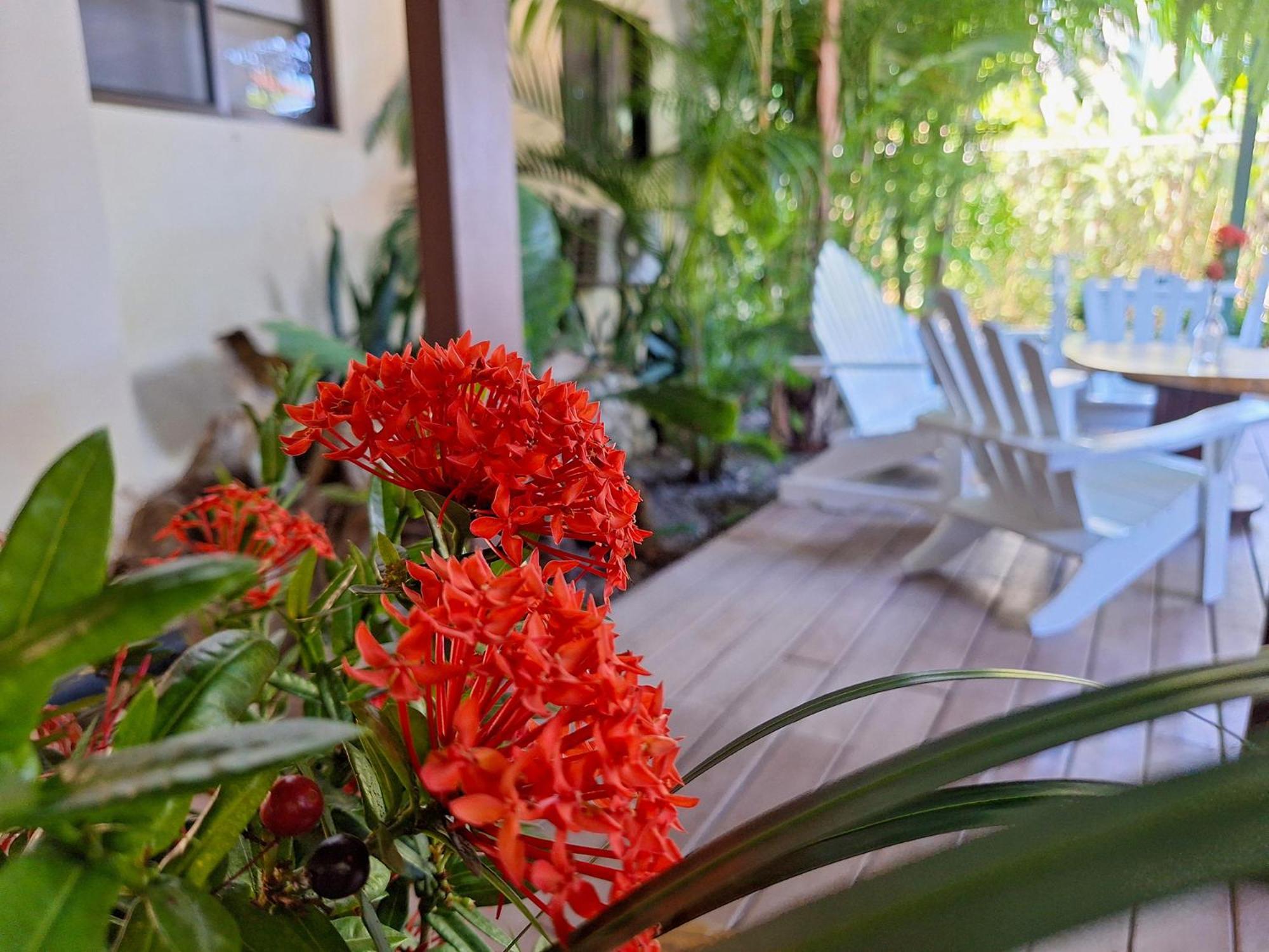 Infiniti Hotel Puerto Viejo de Talamanca Bagian luar foto